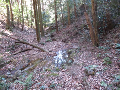 登山道